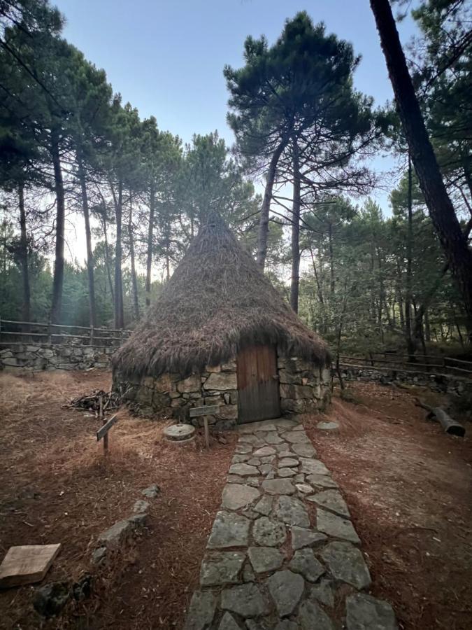 Posada Rural La Resinera لا أدرادا المظهر الخارجي الصورة