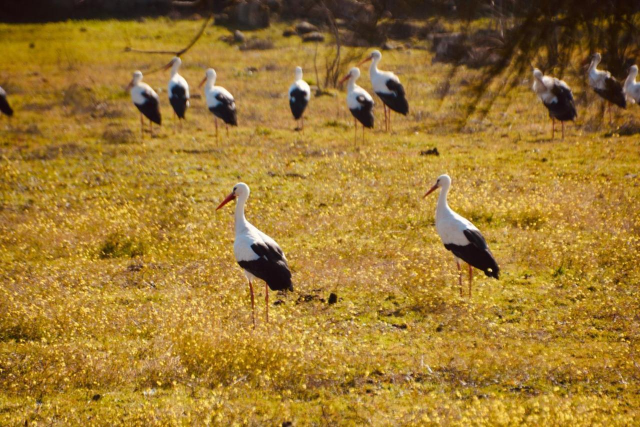 Posada Rural La Resinera لا أدرادا المظهر الخارجي الصورة