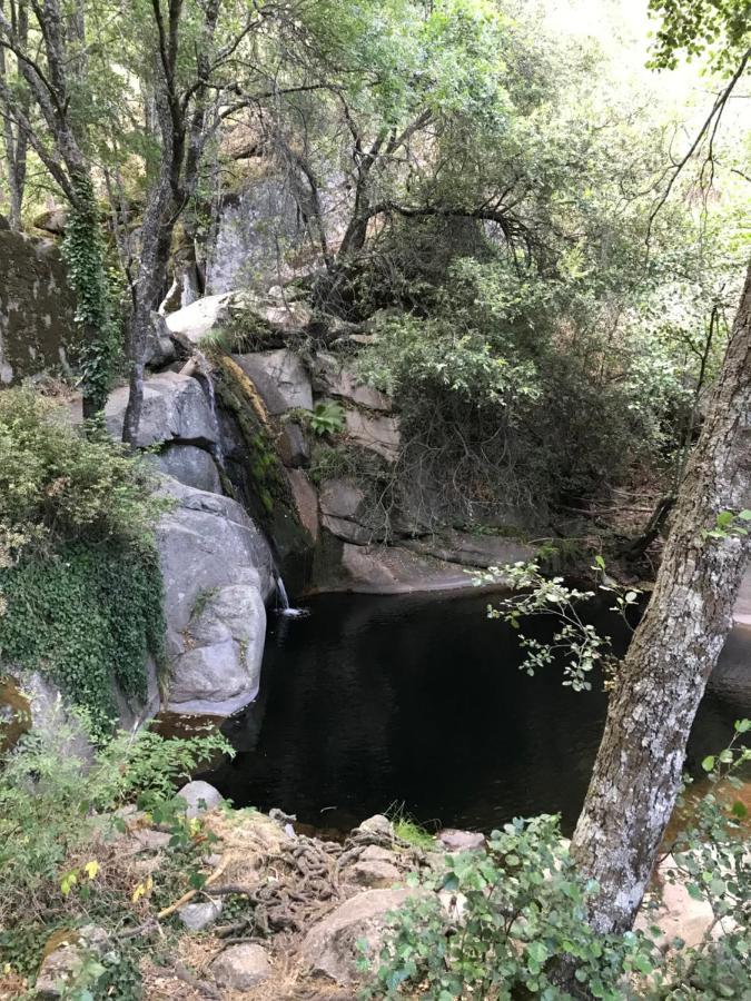 Posada Rural La Resinera لا أدرادا المظهر الخارجي الصورة