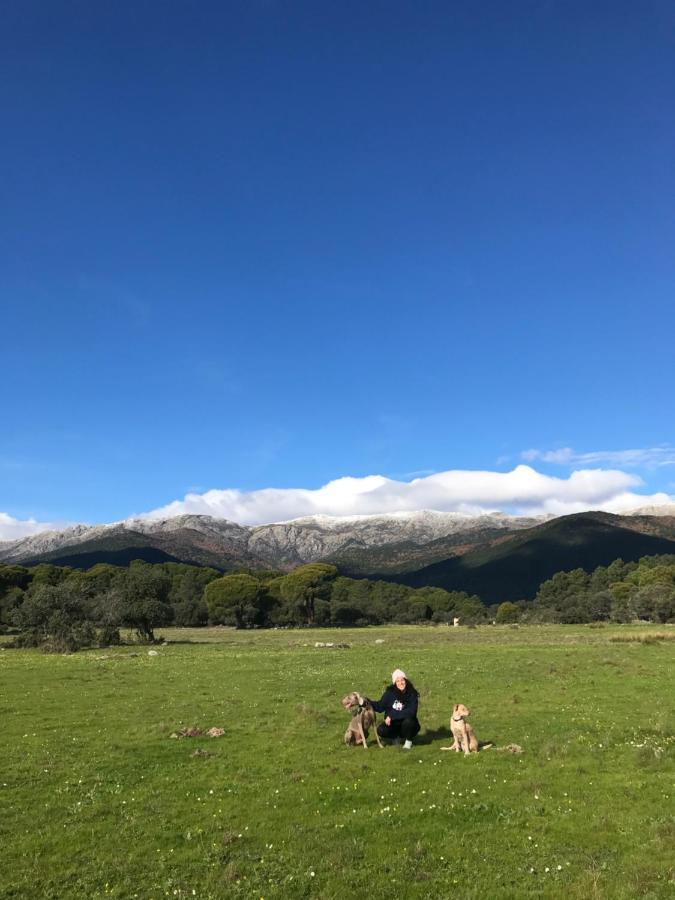 Posada Rural La Resinera لا أدرادا المظهر الخارجي الصورة
