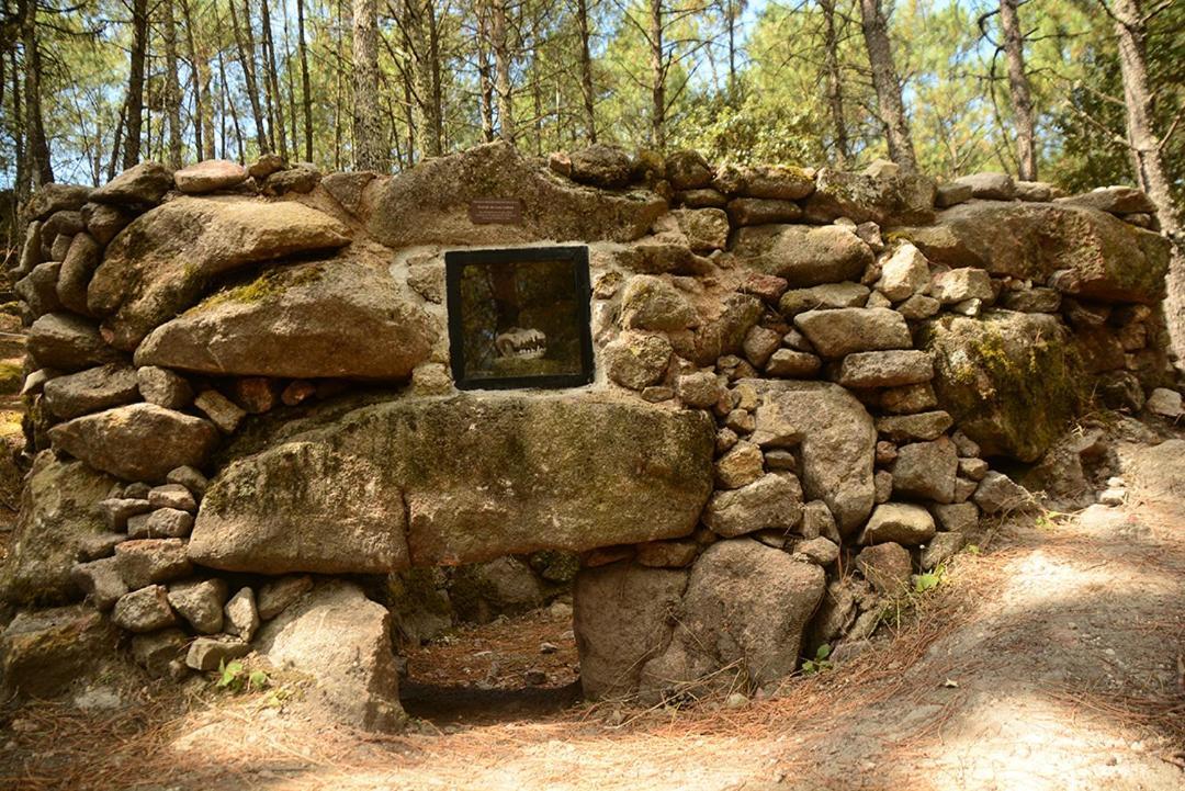 Posada Rural La Resinera لا أدرادا المظهر الخارجي الصورة